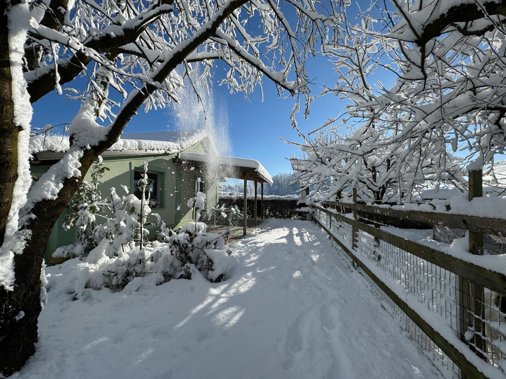 Green Oasis Garden Sencur Exterior foto