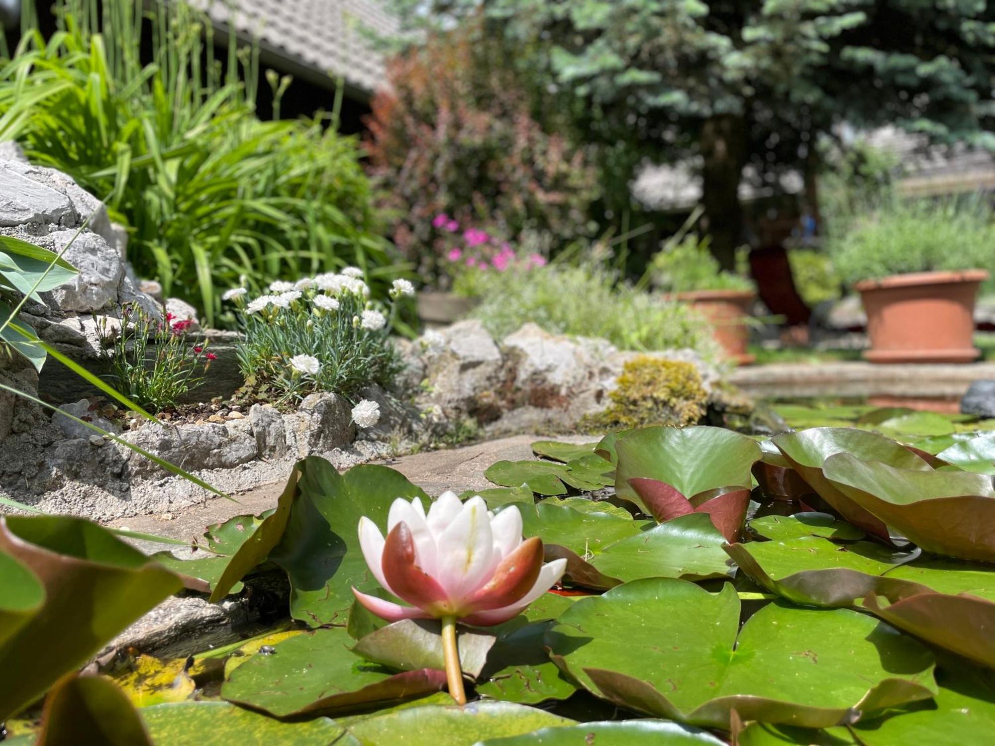 Green Oasis Garden Sencur Exterior foto