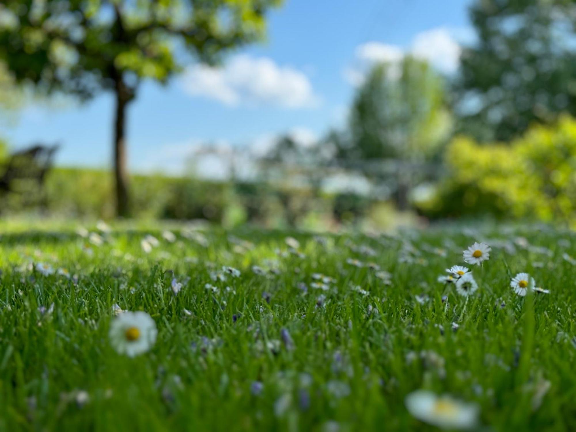 Green Oasis Garden Sencur Exterior foto