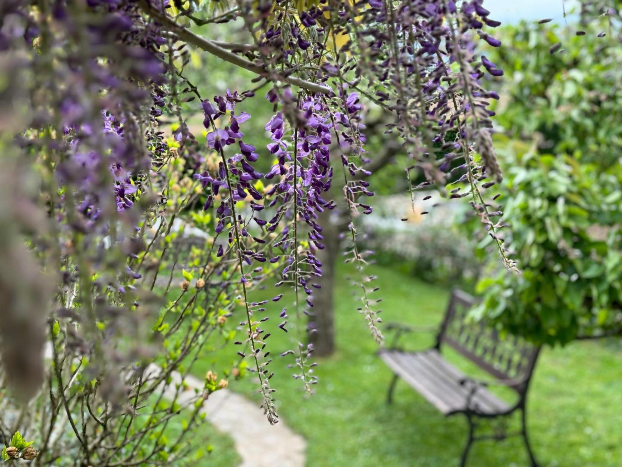 Green Oasis Garden Sencur Exterior foto